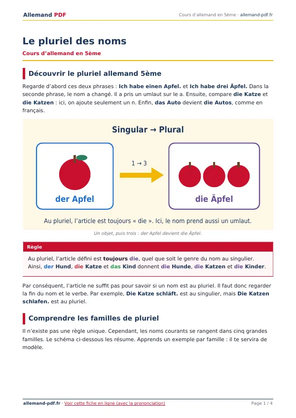 Cours « Le pluriel des noms » en PDF