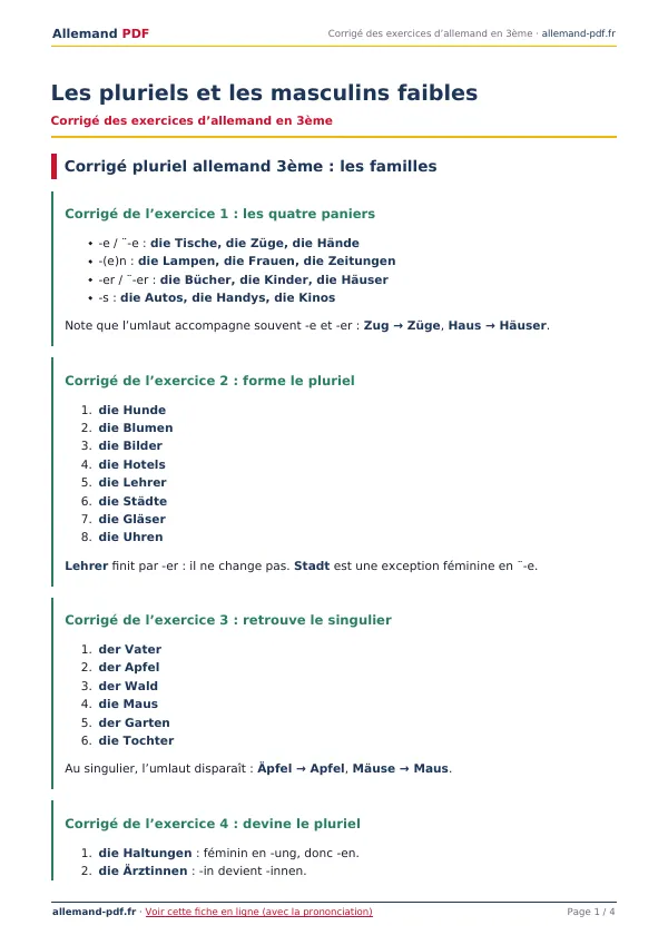 Corrigé « Les pluriels et les masculins faibles » en PDF