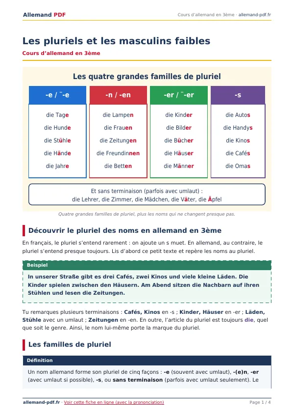 Cours « Les pluriels et les masculins faibles » en PDF