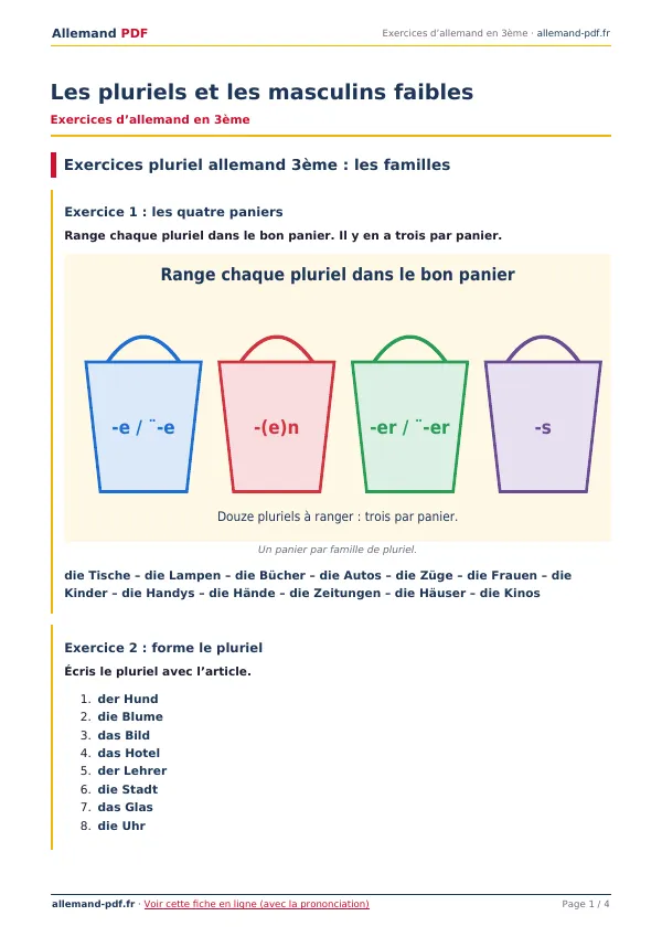 Exercices « Les pluriels et les masculins faibles » en PDF