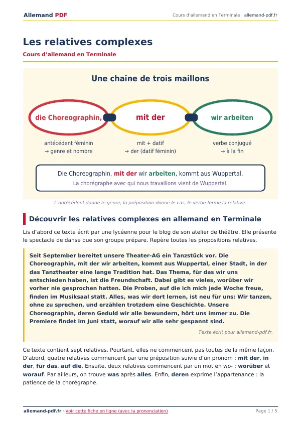 Cours « Les relatives complexes » en PDF